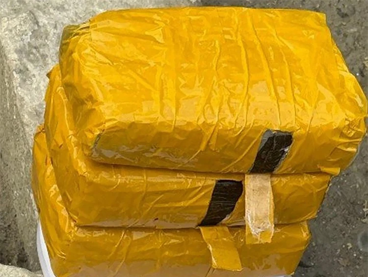 Attempt to smuggle drugs from Kyrgyzstan thwarted in Uzbekistan