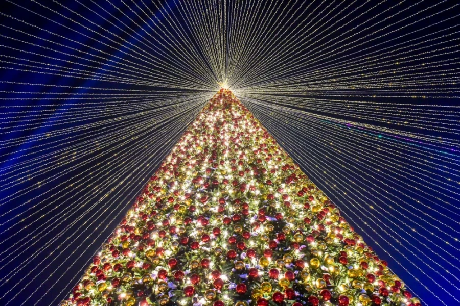 The city hall announced when the main New Year tree will be lit in Bishkek