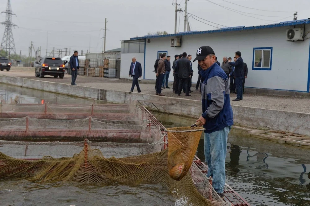 Consolidation of Fish Farms and Creation of Cooperatives - A Requirement of the Day