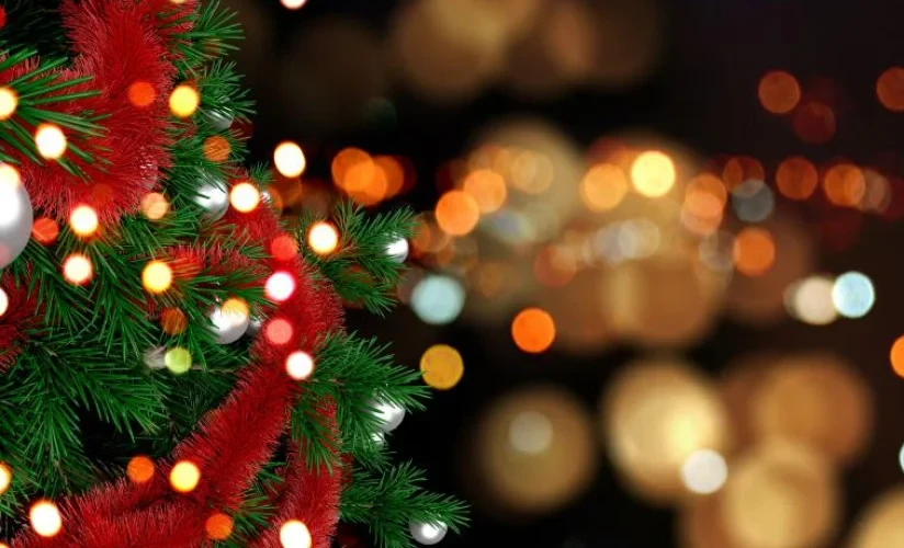Residents of Osh are invited to the lighting of the New Year tree