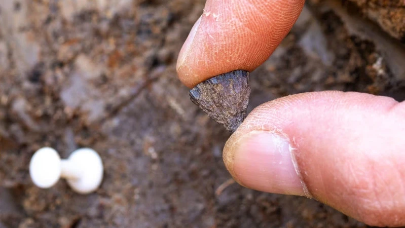 CNN: archaeologists have found the world's oldest campfire