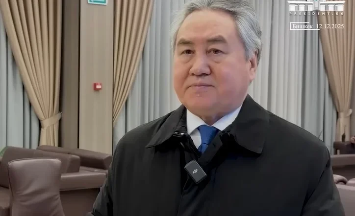The processes of peaceful development in Central Asia attract the interest of the global community - Kulubaev