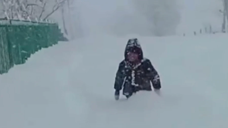 To School Through a Meter-Deep Layer of Snow: Sadyr Japarov Invited the Boy to the Presidential New Year Tree