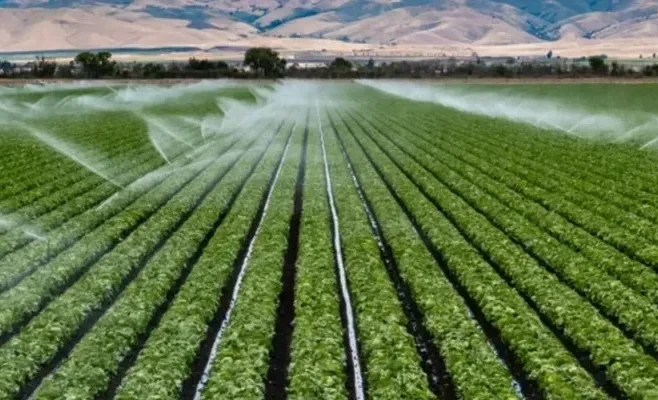 In Kyrgyzstan, the area of drip and sprinkler irrigation will be expanded in 2026