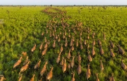 National Geographic named the best photographs of 2025