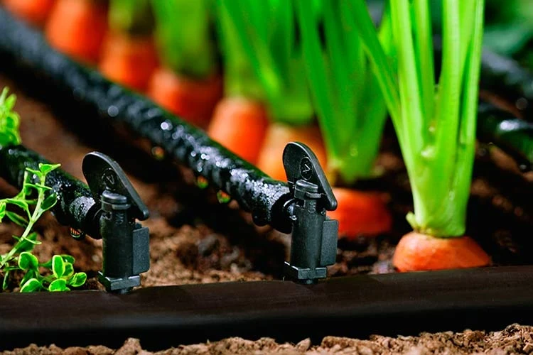 Ministry of Agriculture of the Kyrgyz Republic: Drip and sprinkler irrigation systems are planned to be installed on an area of 5,270 hectares of agricultural land by 2026.