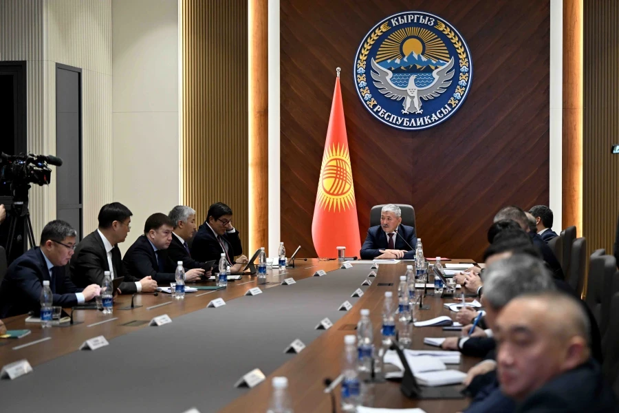 In the "Right to Health" service, you can receive information about available free services.