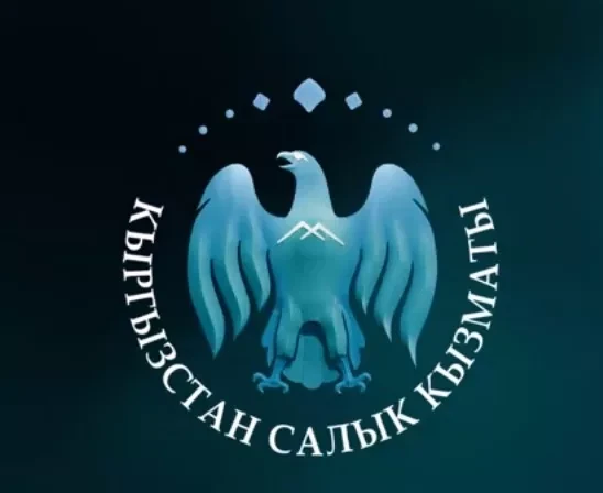 The Tax Service of Kyrgyzstan has implemented an online re-registration service for individual entrepreneurs.