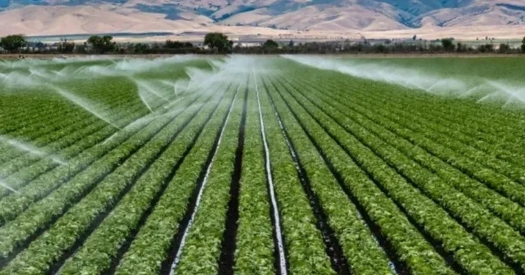 In 2026, drip and sprinkler irrigation will be implemented on 5,300 hectares in the Kyrgyz Republic.