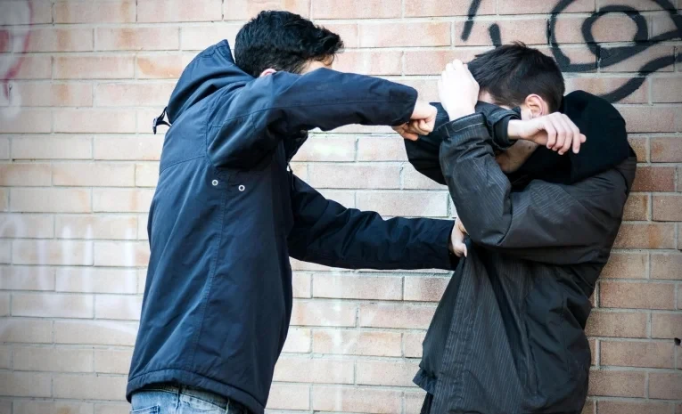 The Ministry of Internal Affairs of the Kyrgyz Republic spoke about how they are fighting juvenile delinquency.