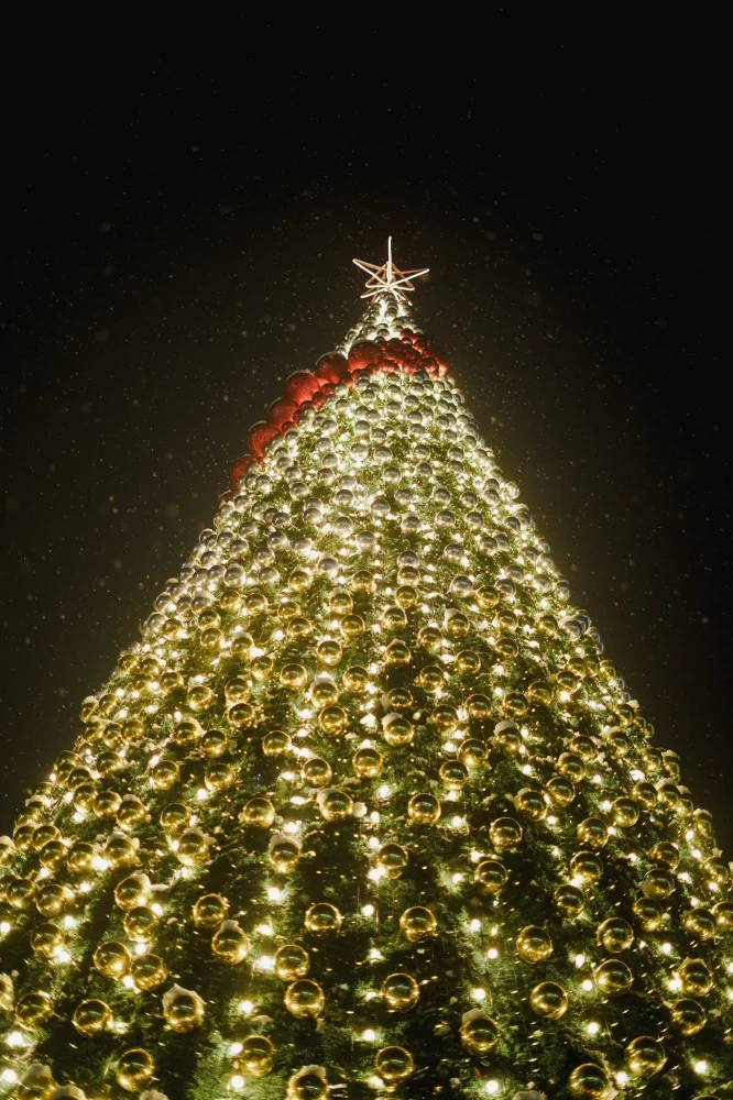 Кыргызстандын облустарында орнотулган жаңы жылдык шыршалар? Карап көрөлү