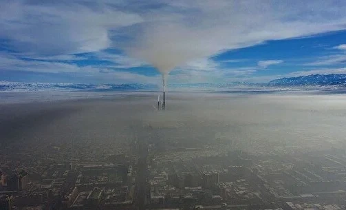 In the BCUZ, they talked about the harm of smog and how to protect oneself from its effects.