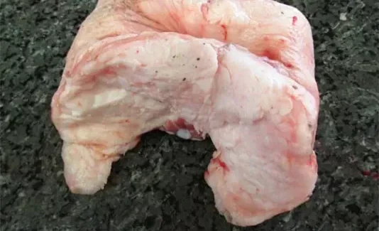 20 Tons of Tail Fat from China Attempted to Be Smuggled into Kyrgyzstan in Violation of Sanitary Norms