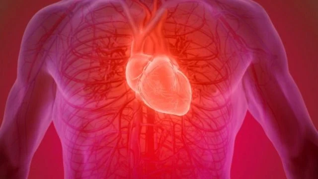 Regular Exercise Reprograms Heart Nerves