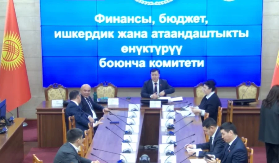 ЖК комитети үч окууда талкуусуз эки мыйзам долбоорун кабыл алды