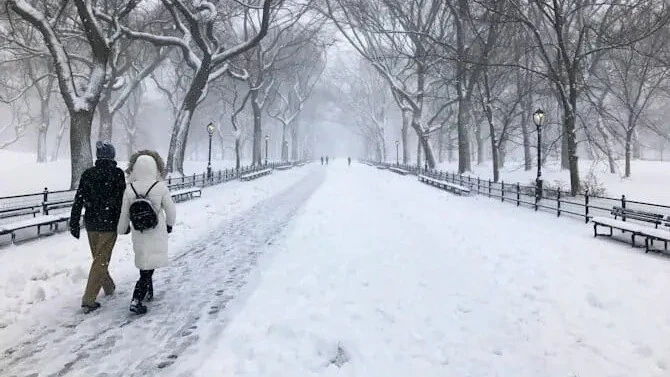 New York Mayor Urges Staying Home and Making Babies Due to Snowfall