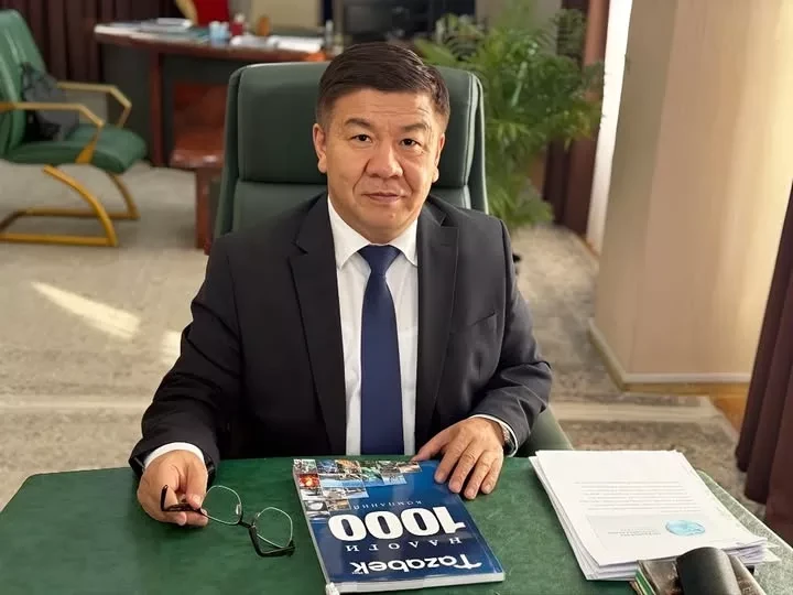 Chairman of the State Tax Service Almambet Shykmamotov Summarizes the Year