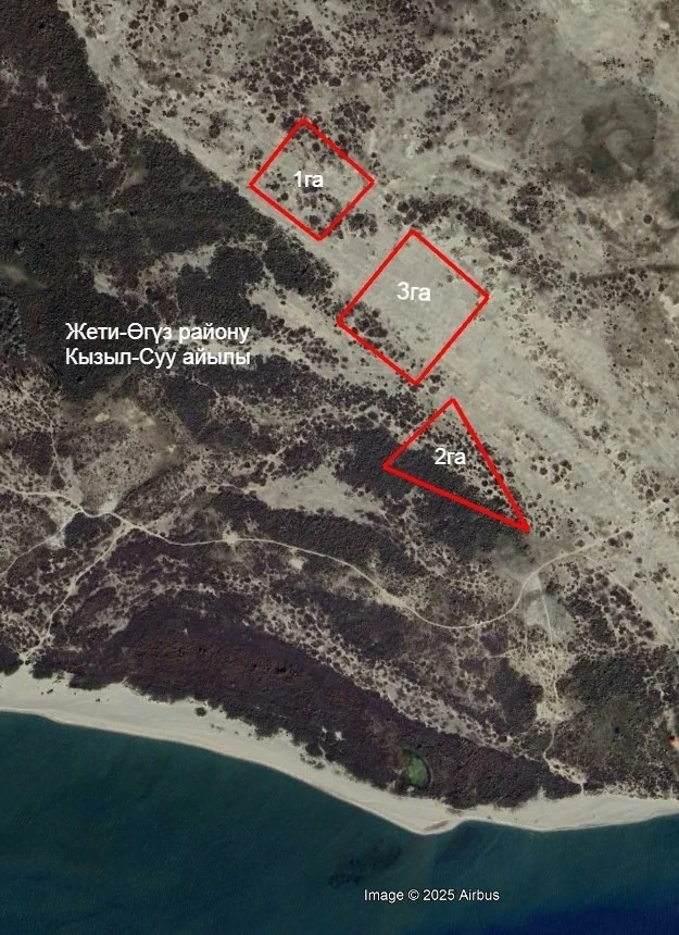 Agricultural Lands in Issyk-Kul Returned to the State from Private Ownership