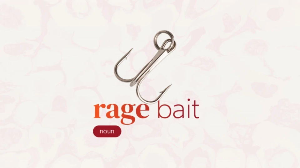 The University of Oxford has chosen the expression "rage bait" as the word of the year 2025. What does it mean?