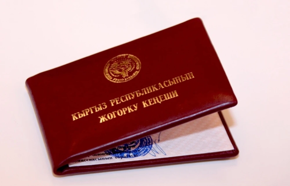 Preliminary List of the VIII Convocation of the State Duma (updated)