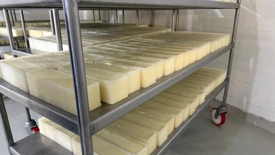 Import Substitution of Elite Cheeses: Kyrgyz Producer Strengthens Positions