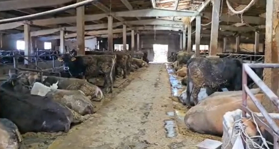 При поддержке президента продолжается очистка Иссык-Куля