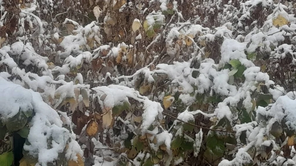 Без осадков будет в ближайшие дни только на западе Казахстана