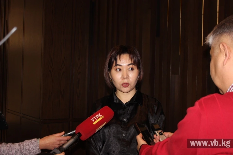 Журналисттерге майыптык жана зомбулук темаларын туура чагылдыруу боюнча маалымат берилди