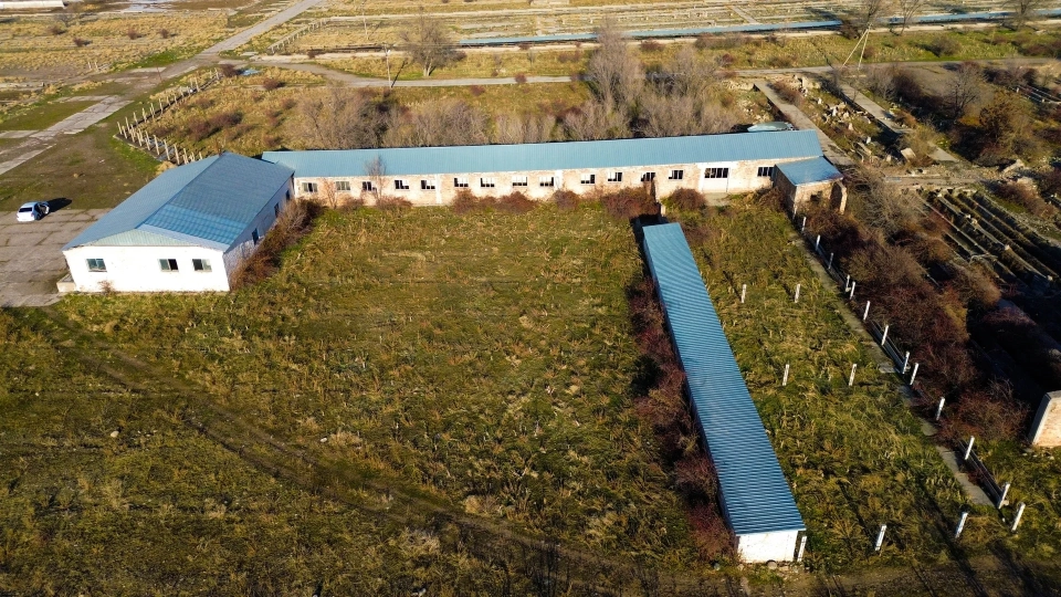 Fattening Complex in Chui Region Valued at 1.45 Billion Soms Put Up for Auction