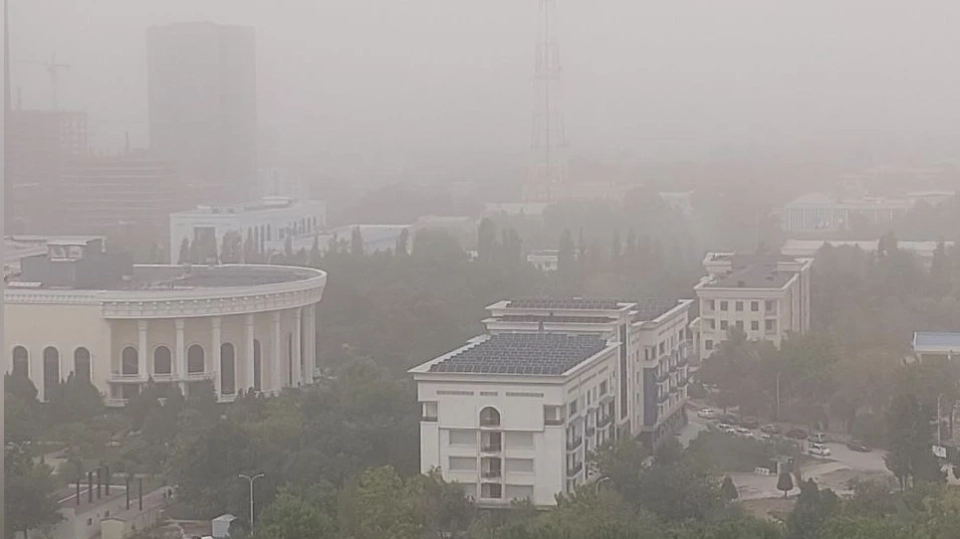 To combat traffic jams in Tashkent, an intelligent transportation system will be launched