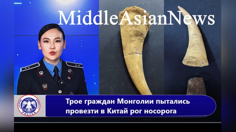 Three citizens of Mongolia attempted to smuggle a rhino horn into China