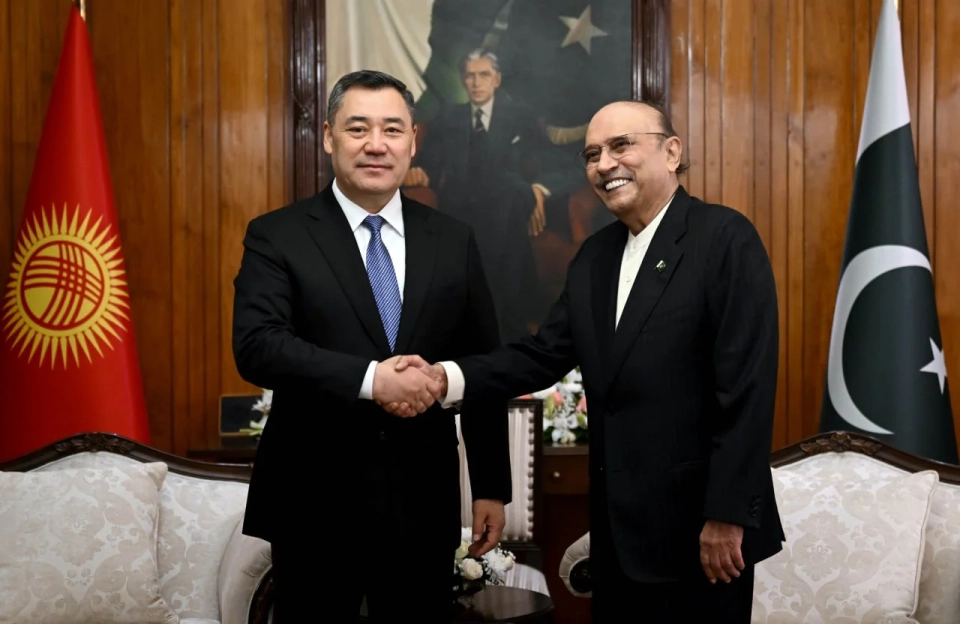 Sadyr Japarov held talks with the President of Pakistan