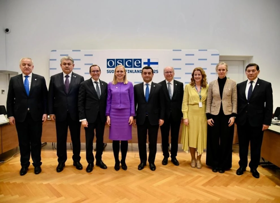 A meeting of the foreign ministers of Central Asian and Northern European countries took place in Vienna.