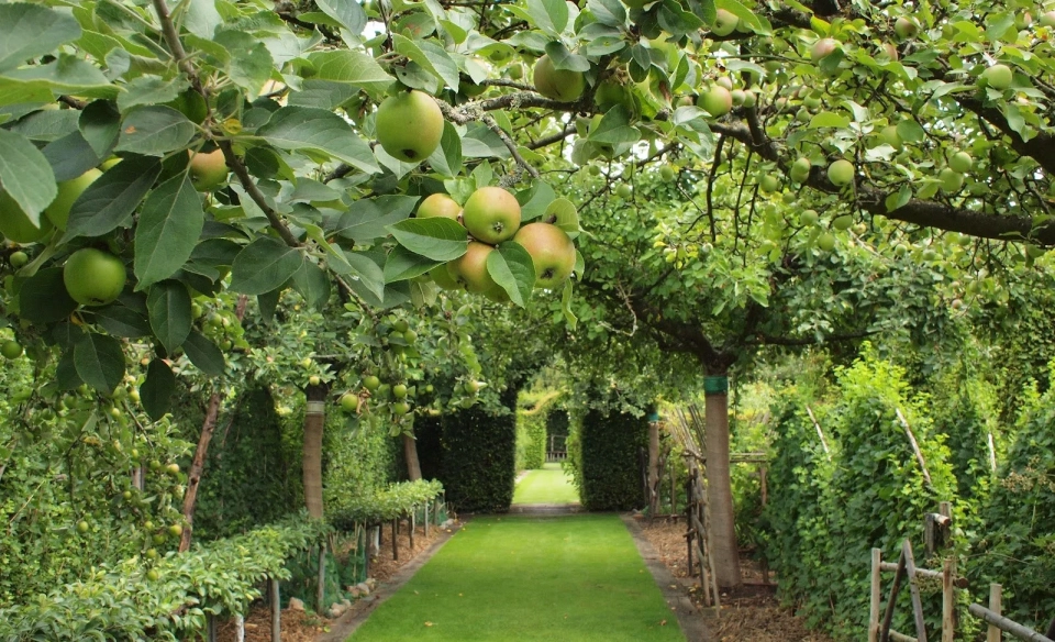In Kyrgyzstan, fruit orchards will be planted along the roadsides.