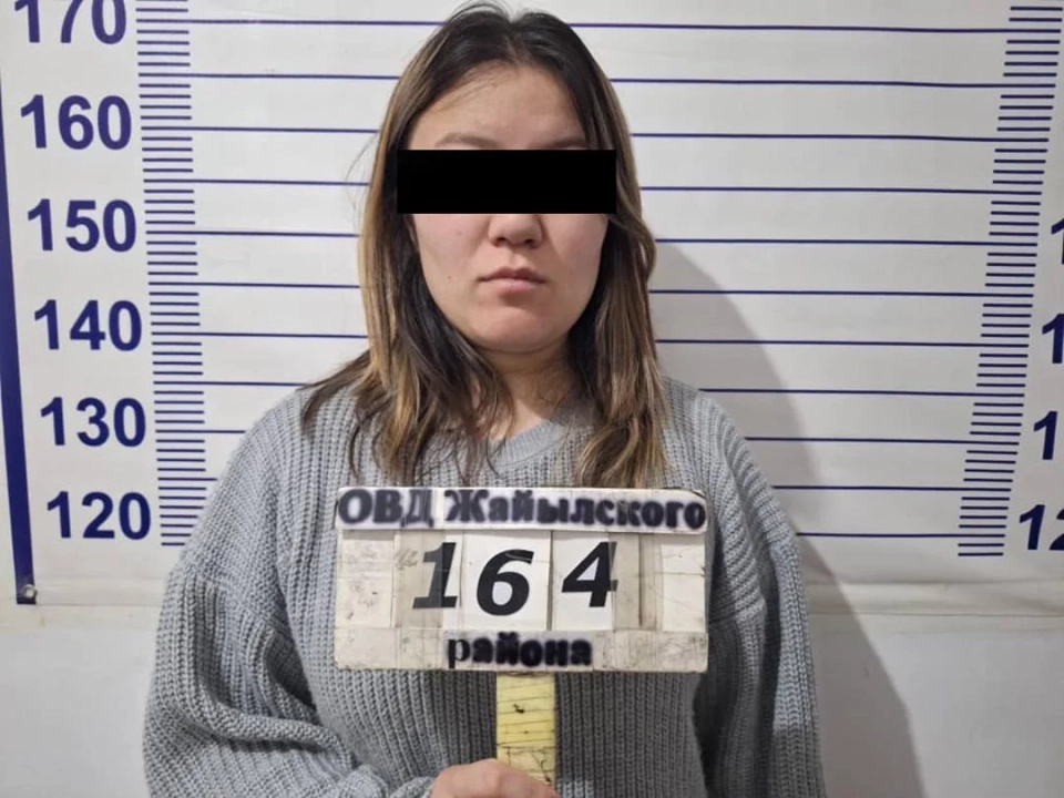 In Chuy Region, dropper suspects involved in transferring 3 million soms to fraudsters have been detained.