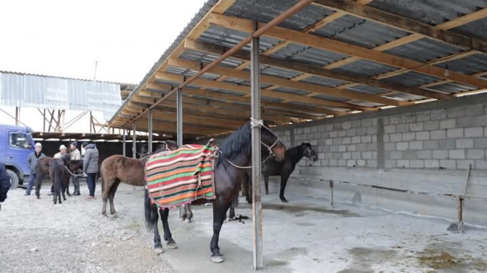 Animals without certificates are not allowed: Control has been tightened at livestock markets in Kyrgyzstan