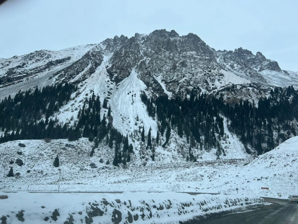 Kyrgyzstan conducts the largest count of argalis and ibexes in recent years