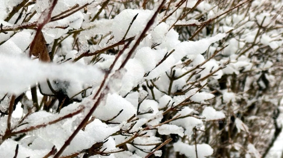 В Казахстане из-за циклона ожидается ухудшение погоды