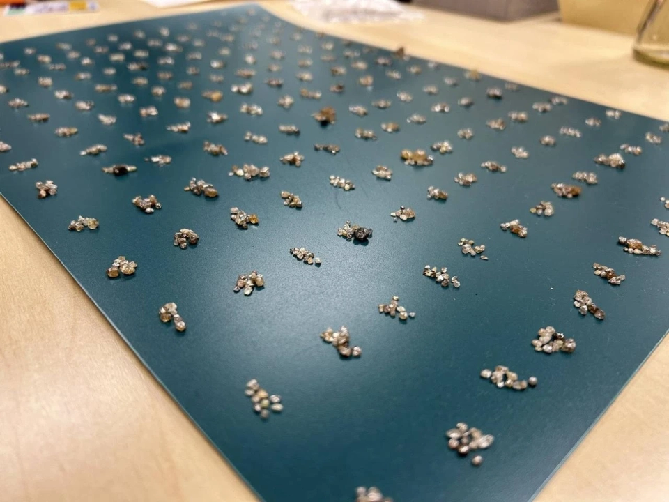 В аэропорту Франкфурта-на-Майне у пассажира из Анголы изъяли 11 тысяч алмазов