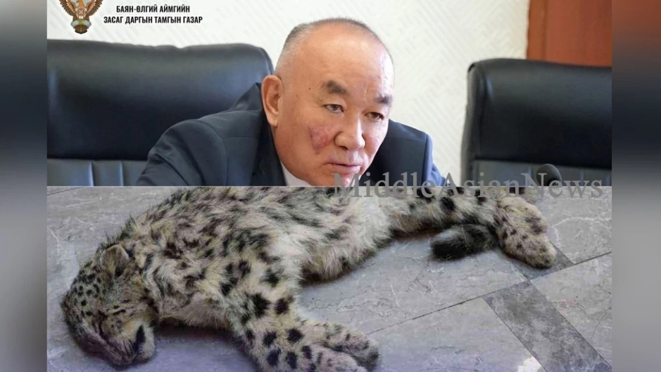 Баян-Өлгийдин губернаторуна каржы жырткычын аңчылыкка байланыштуу айыптоо боюнча арыз түштү