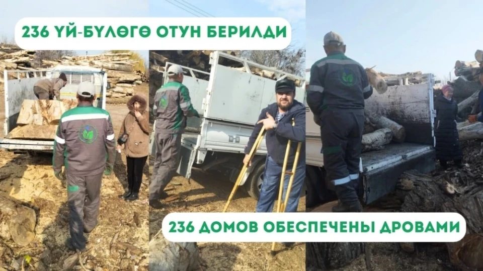 Мэрия Бишкека обеспечила 236 семей дровами