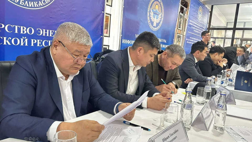 Delegates of the People's Kurultai Proposed New Development Projects to the Ministry of Energy