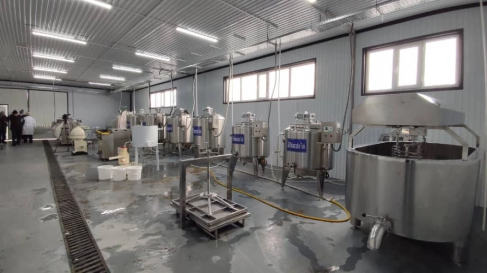 В Нарынской области заработал новый цех по переработке молока