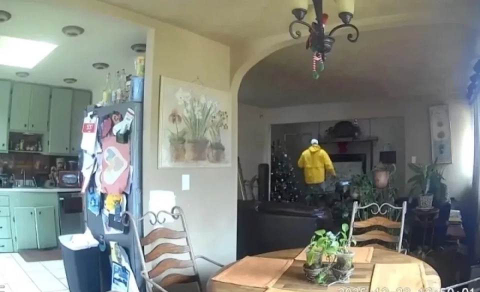 "Home Alone". In the USA, a schoolboy prevented a house robbery