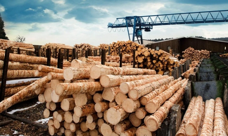 The Cabinet introduced a six-month ban on the export of timber outside the EAEU