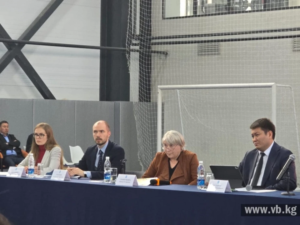 Irina Grishechkina: Bishkek Lacks Kindergartens, Schools, and Hospitals