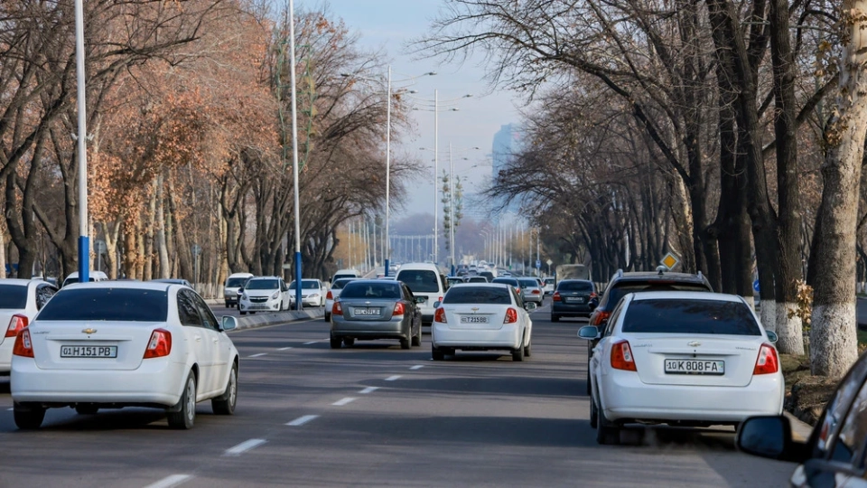 Жаан жана туман: декабрь айынын аягында өзбекстандыктарды кандай аба ырайы күтөт?