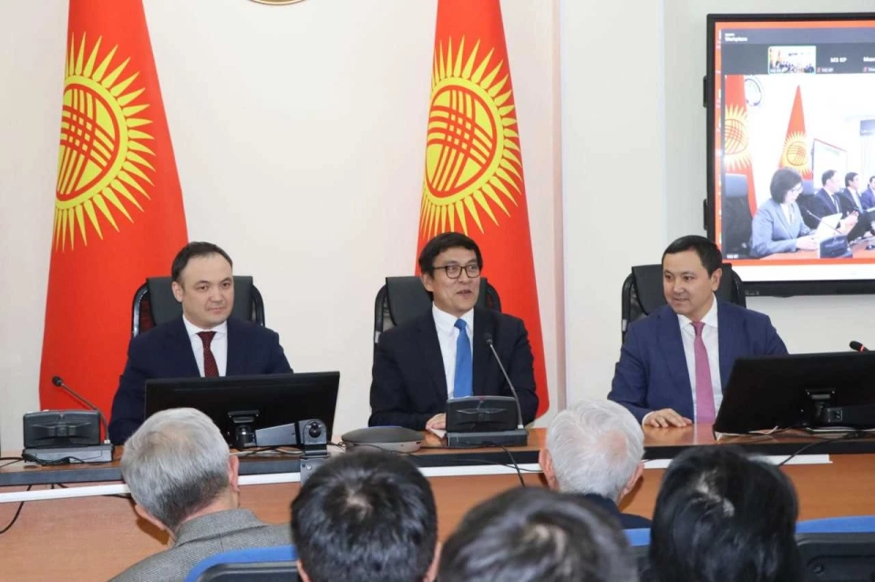 The new Deputy Minister for Digital Development was introduced to the Ministry of Health of the Kyrgyz Republic team