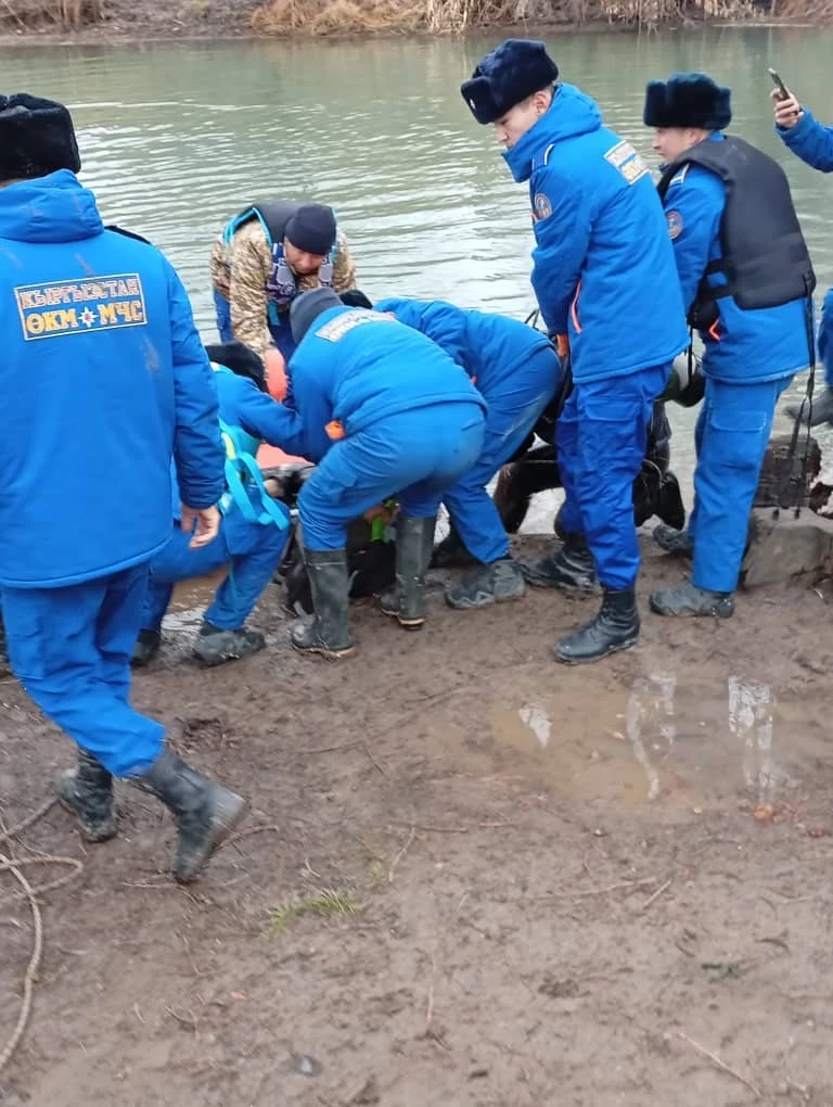 МЧС: Бишкектеги ТЭЦ каналына кулаган үч жаран табылды