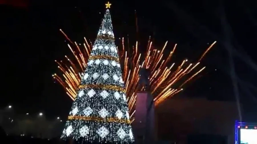 МВД: Жаңы жыл түнү Кыргызстанда тынч өттү